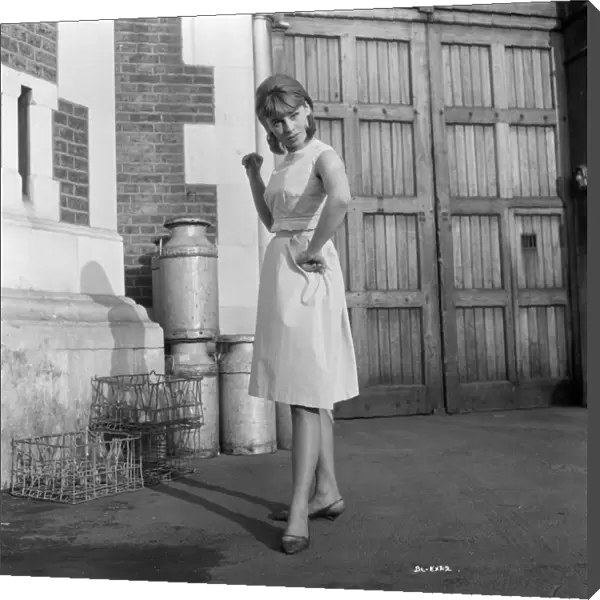 Julie Christie in a portrait for the release of Billy Liar (1963)