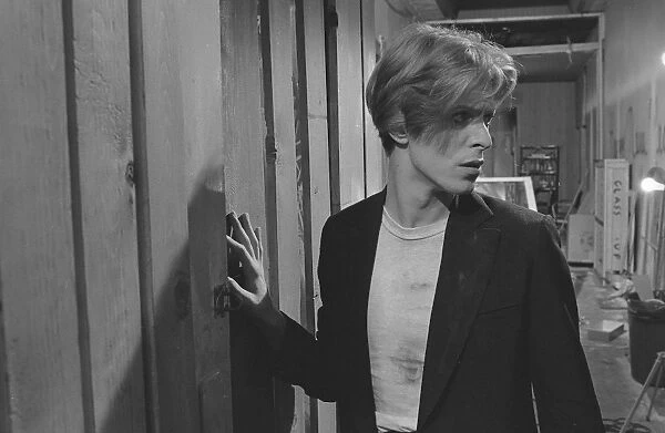 The Man Who Fell To Earth