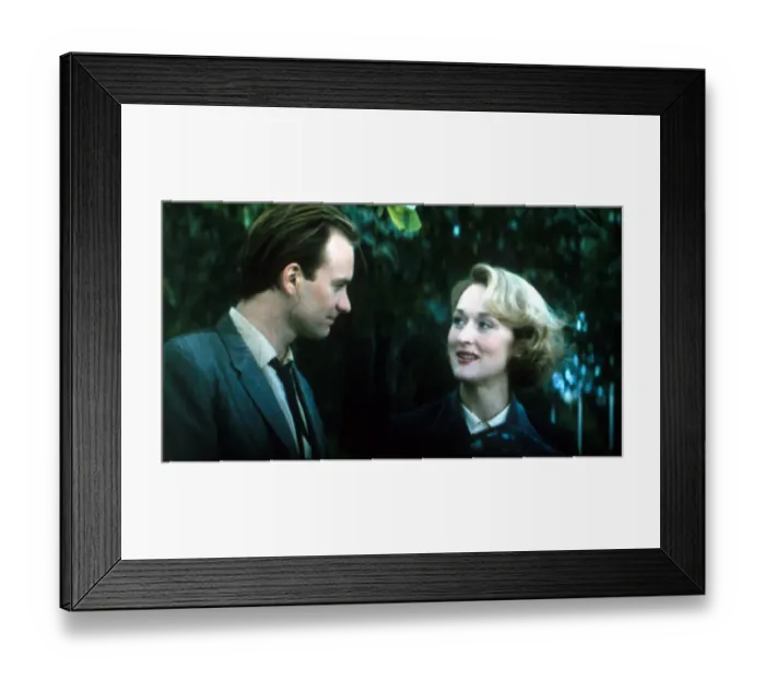 Framed Print : A portrait of Meryl Streep and Sting from a scene of Plenty (1985) Framed Print : A portrait of Meryl Streep and Sting from a scene of Plenty (1985)