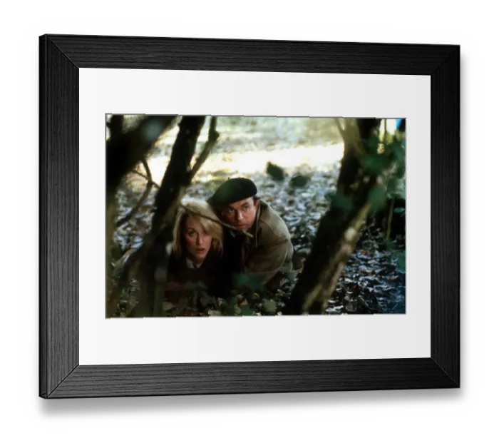 Framed Print : Meryl Streep and Sam Neill in a scene from Plenty (1985)