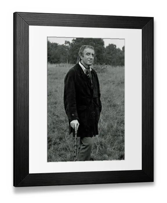 Framed Print : Hoffman (1970) Framed Print : Hoffman (1970)