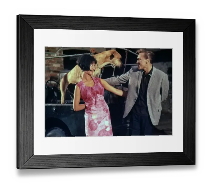 Framed Print : I ve Gotta Horse (1965) Framed Print : I ve Gotta Horse (1965)