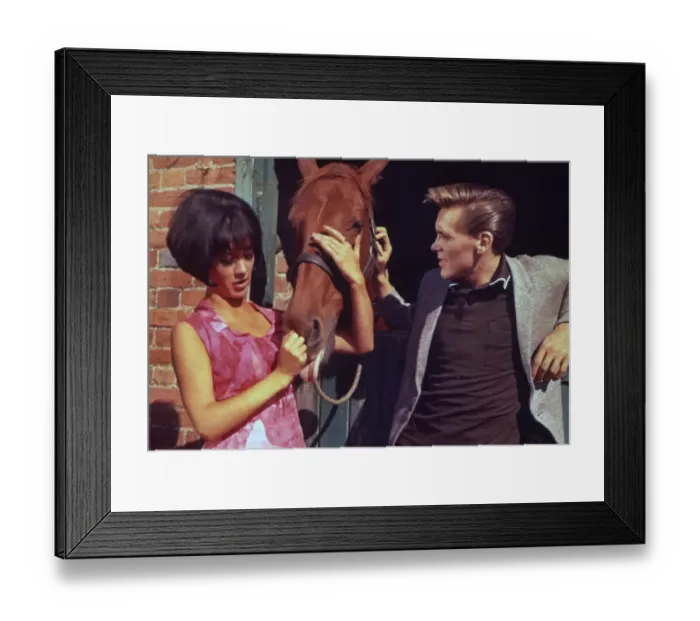 Framed Print : I ve Gotta Horse (1965) Framed Print : I ve Gotta Horse (1965)