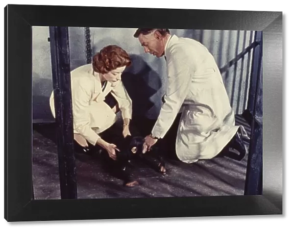 Dr Decker and Margaret with Konga as a chimp