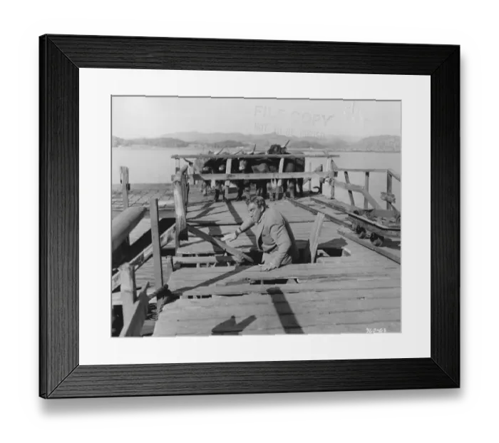 Framed Print : mag1954 bw pri 089 Framed Print : mag1954 bw pri 089