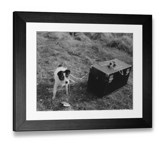 Framed Print : mag1954 bw pri 121