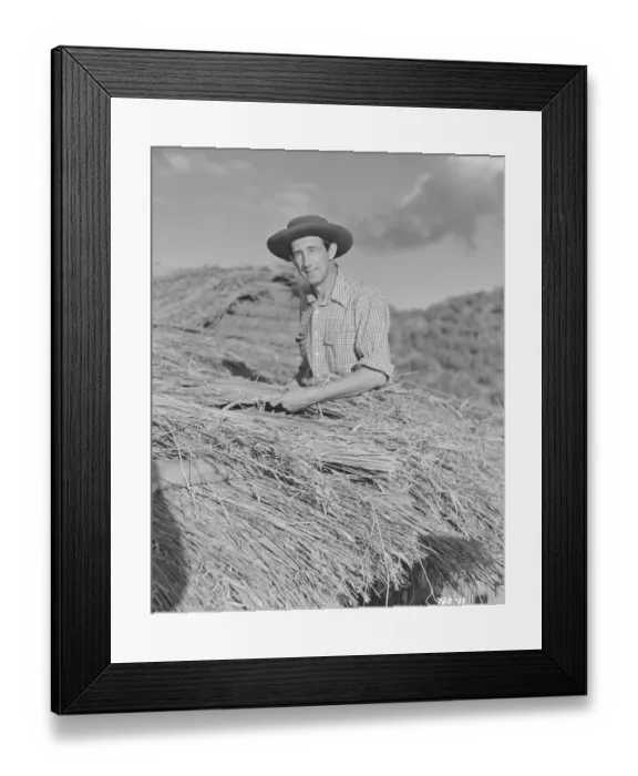Framed Print : Bitter Springs (1950) Framed Print : Bitter Springs (1950)