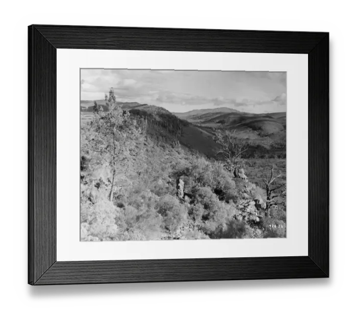 Framed Print : Bitter Springs (1950) Framed Print : Bitter Springs (1950)