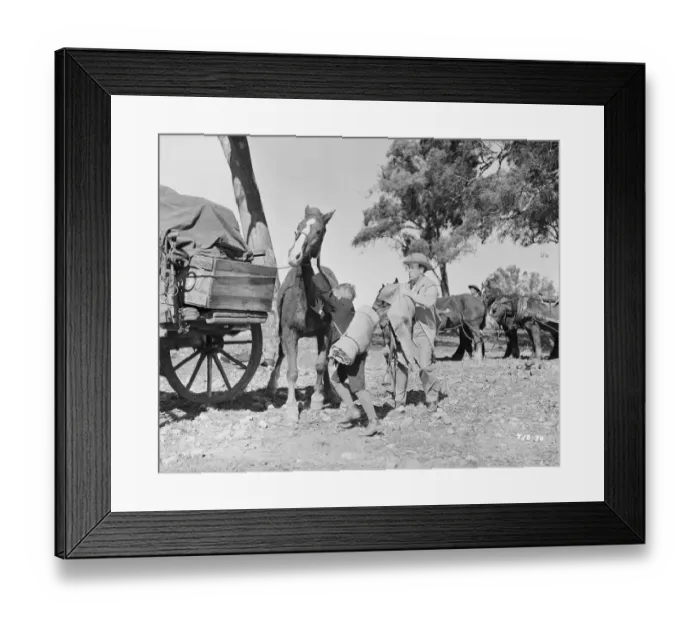 Framed Print : Bitter Springs (1950) Framed Print : Bitter Springs (1950)
