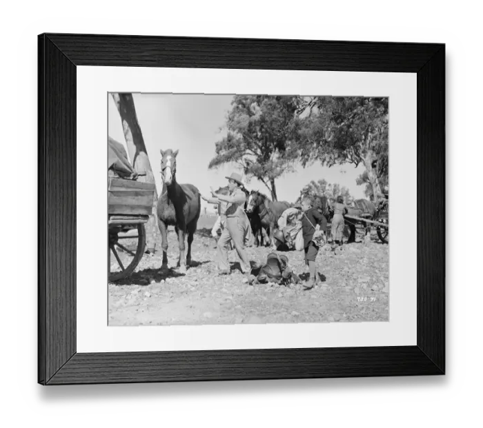 Framed Print : Bitter Springs (1950) Framed Print : Bitter Springs (1950)