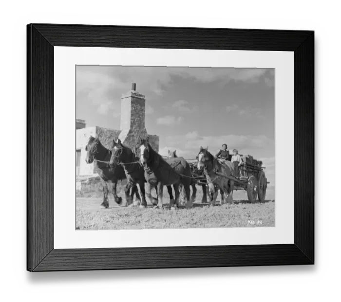 Framed Print : Bitter Springs (1950) Framed Print : Bitter Springs (1950)