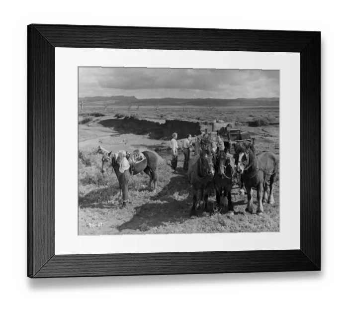 Framed Print : Bitter Springs (1950) Framed Print : Bitter Springs (1950)