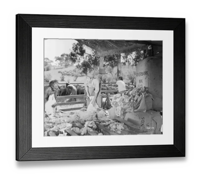 Framed Print : Bitter Springs (1950)