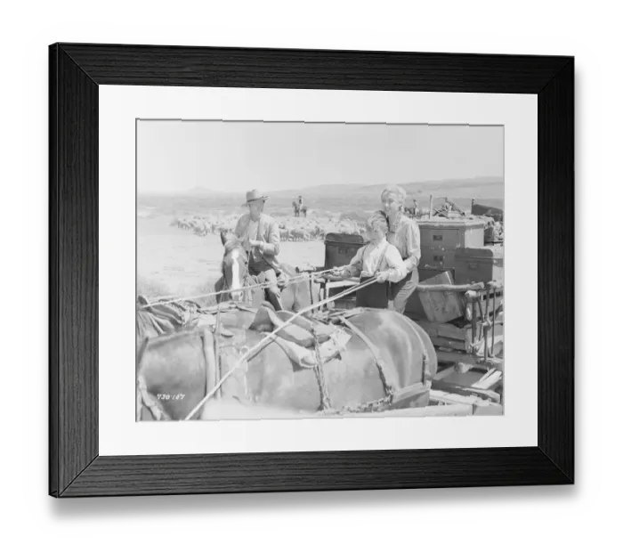 Framed Print : Bitter Springs (1950) Framed Print : Bitter Springs (1950)
