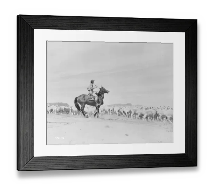 Framed Print : Bitter Springs (1950) Framed Print : Bitter Springs (1950)