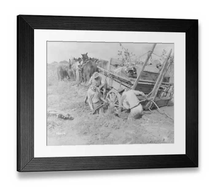 Framed Print : Bitter Springs (1950) Framed Print : Bitter Springs (1950)