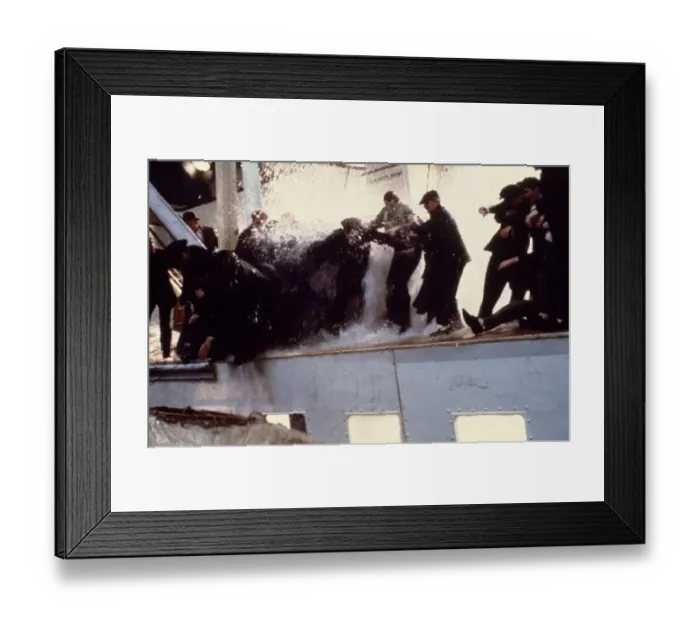 Framed Print : sos1979 co tra 004 Framed Print : sos1979 co tra 004