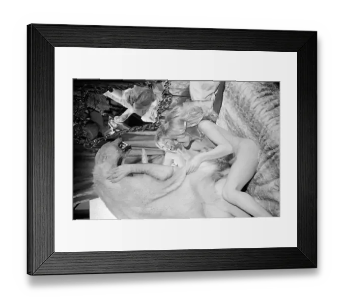 Framed Print : A scene from Stardust (1974) Framed Print : A scene from Stardust (1974)