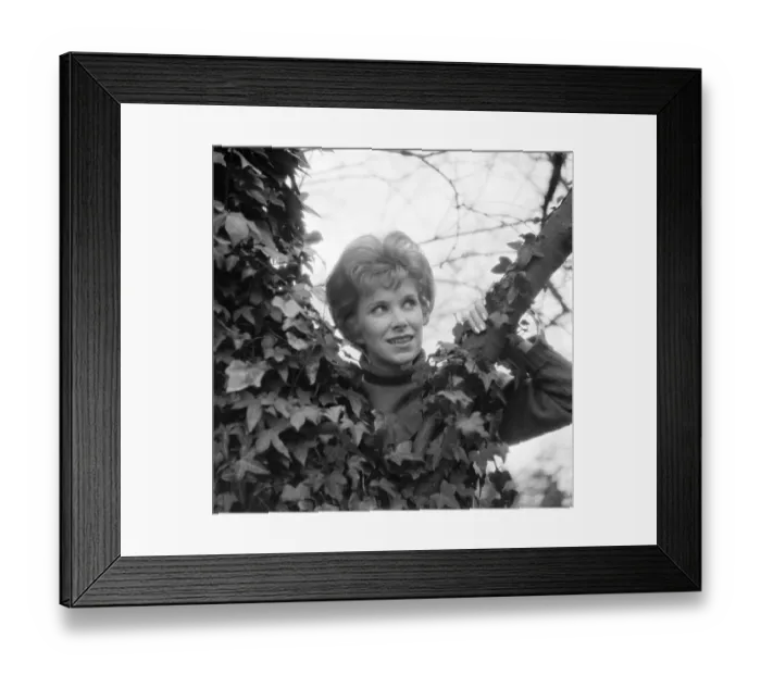 Framed Print : ser1963 bw neg 233