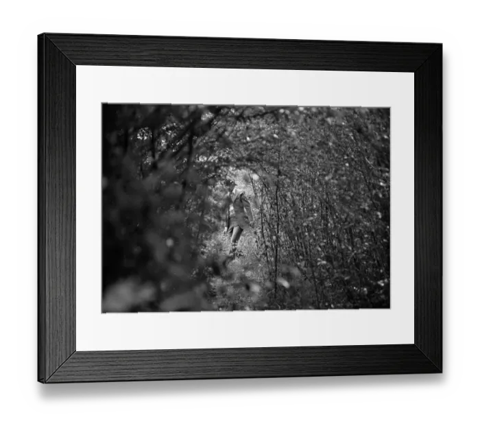 Framed Print : and1970 bw neg 082