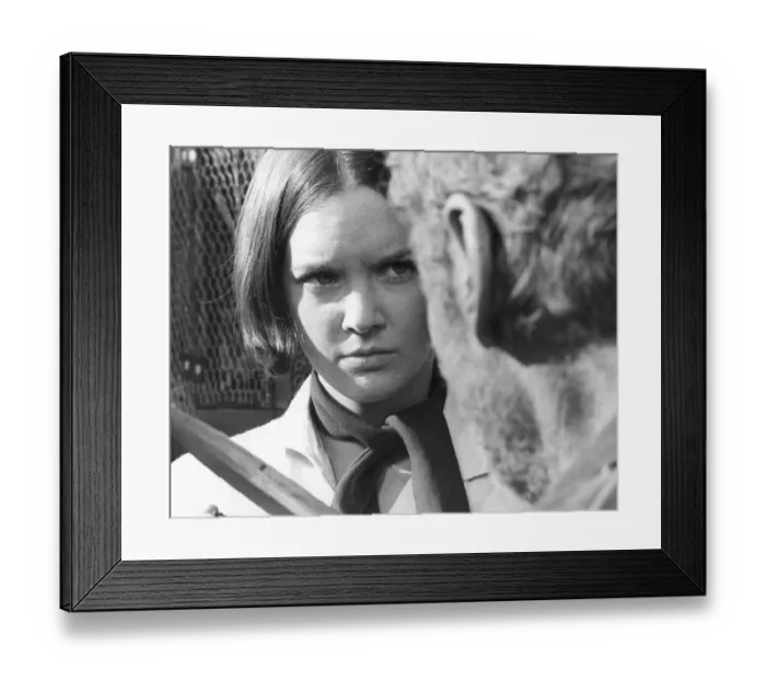 Framed Print : and1970 bw pri 035 Framed Print : and1970 bw pri 035
