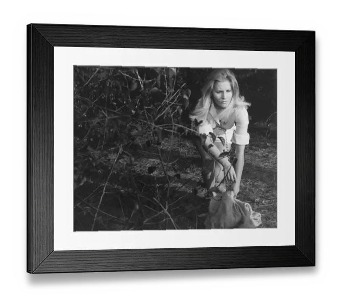 Framed Print : and1970 bw pri 077 Framed Print : and1970 bw pri 077