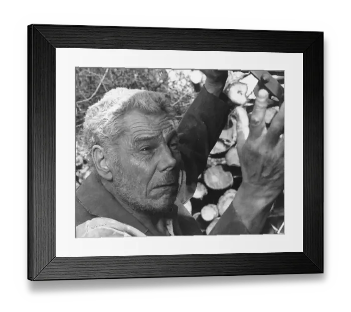 Framed Print : and1970 bw pri 104
