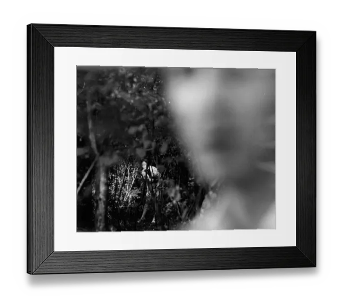Framed Print : and1970 bw pri 157 Framed Print : and1970 bw pri 157