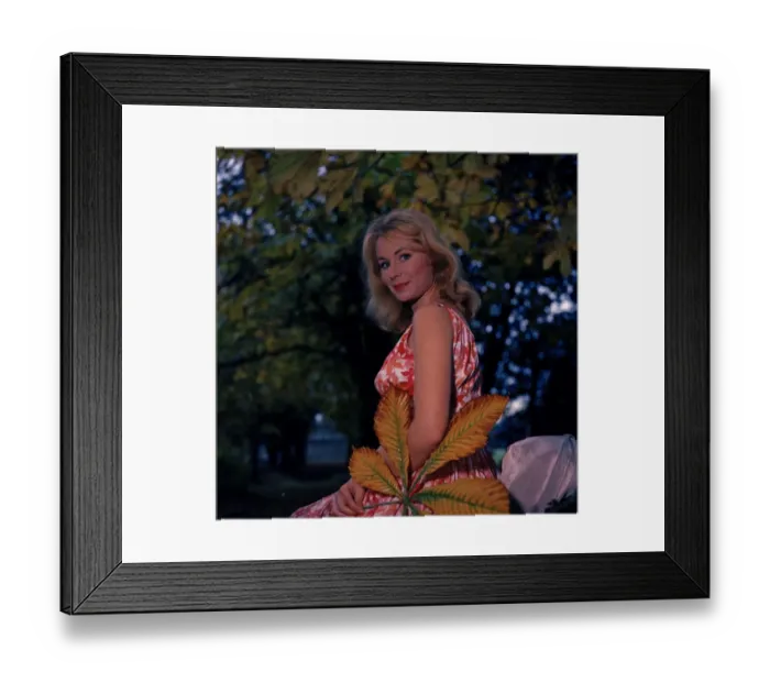 Framed Print : anr1960 co neg 004 Framed Print : anr1960 co neg 004