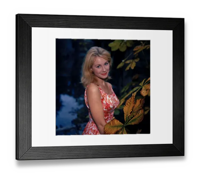 Framed Print : anr1960 co neg 005