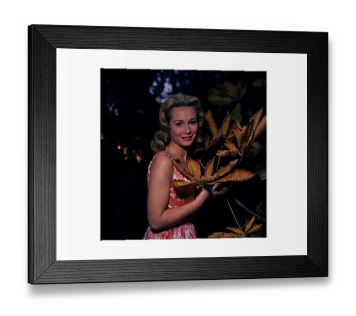 Framed Print : anr1960 co neg 006 Framed Print : anr1960 co neg 006