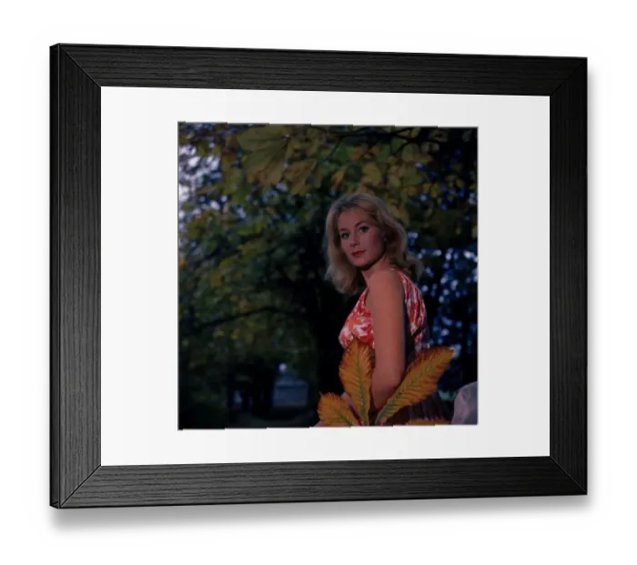 Framed Print : anr1960 co neg 007 Framed Print : anr1960 co neg 007
