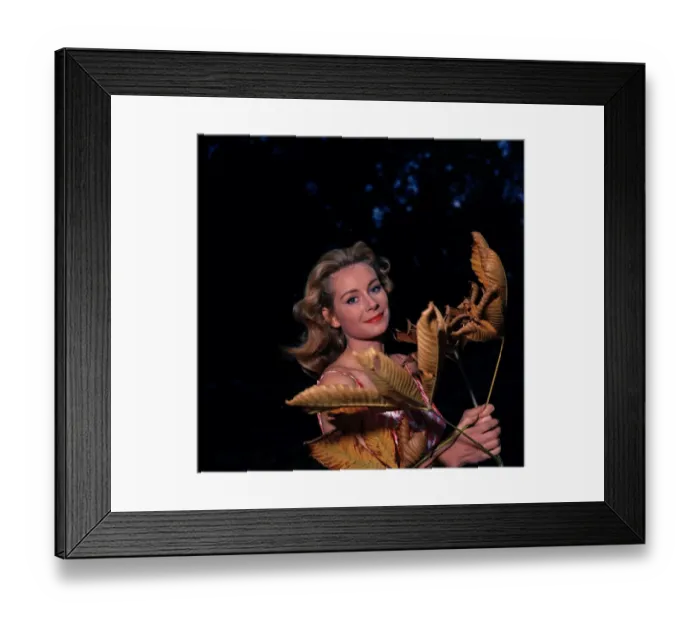 Framed Print : anr1960 co neg 014 Framed Print : anr1960 co neg 014