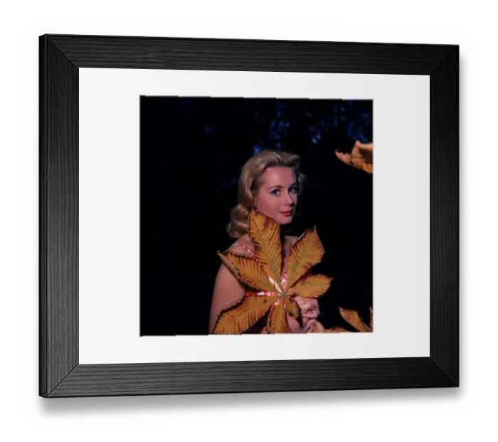 Framed Print : anr1960 co neg 015 Framed Print : anr1960 co neg 015