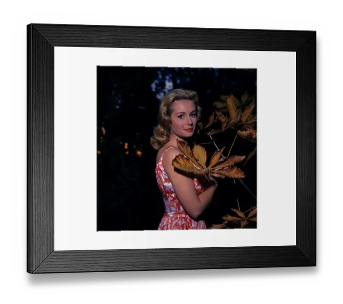 Framed Print : anr1960 co neg 016 Framed Print : anr1960 co neg 016