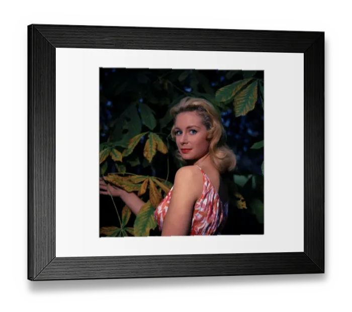 Framed Print : anr1960 co neg 017 Framed Print : anr1960 co neg 017