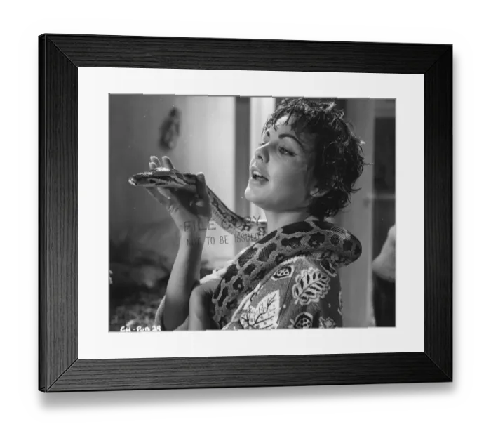 Framed Print : cic1960 bw pri pub 029