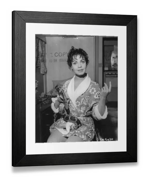 Framed Print : cic1960 bw pri pub 030 Framed Print : cic1960 bw pri pub 030