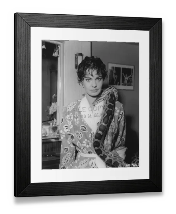 Framed Print : cic1960 bw pri pub 033