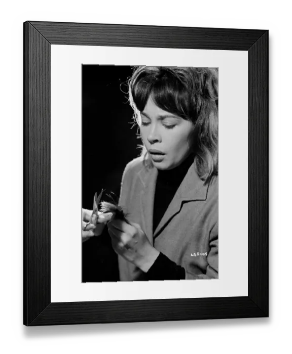Framed Print : lsh1962 bw neg 087 Framed Print : lsh1962 bw neg 087