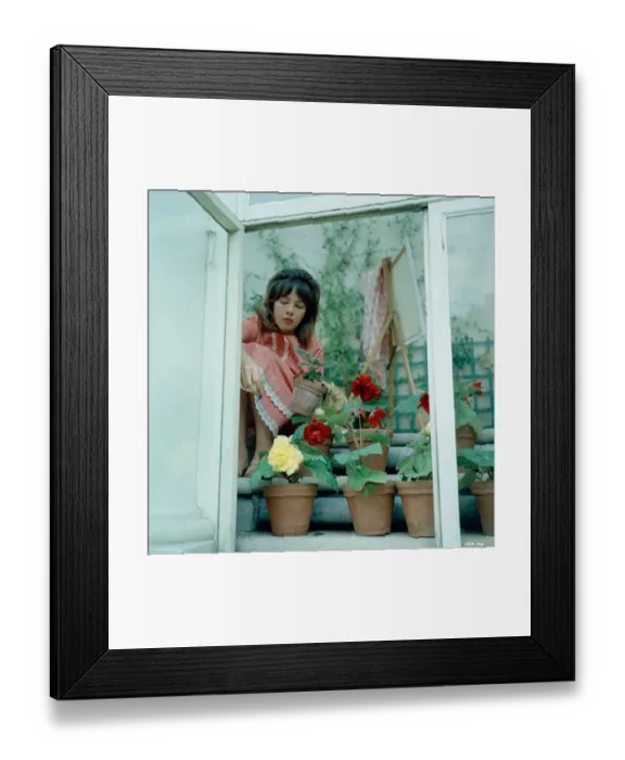 Framed Print : lsh1962 co neg 010 Framed Print : lsh1962 co neg 010