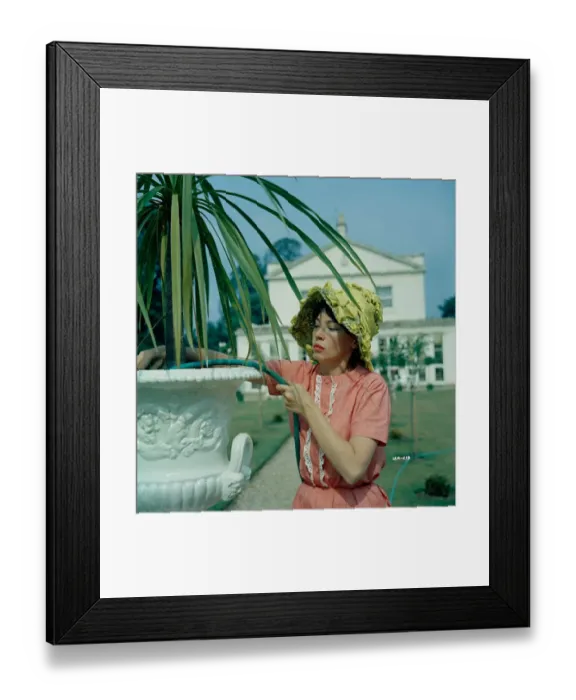 Framed Print : lsh1962 co neg 021 Framed Print : lsh1962 co neg 021