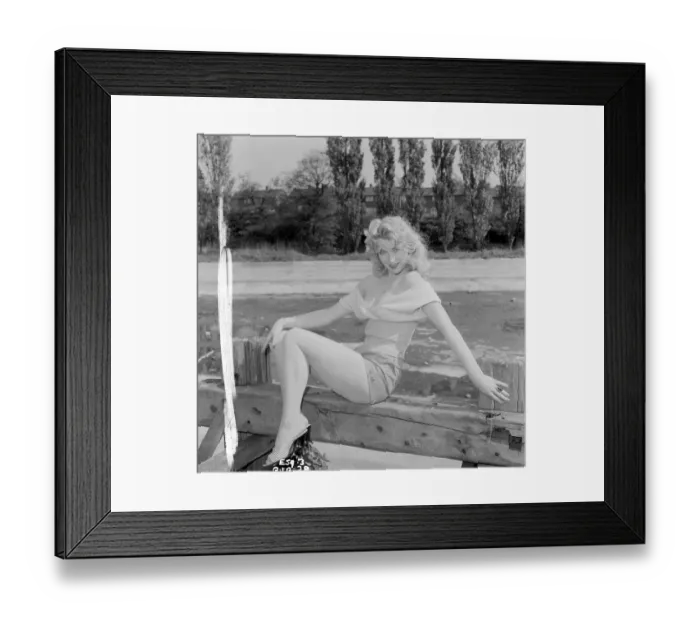 Framed Print : sch1960 bw neg pub 028