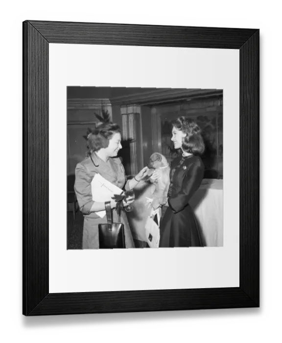 Framed Print : sch1960 bw neg str 074 Framed Print : sch1960 bw neg str 074