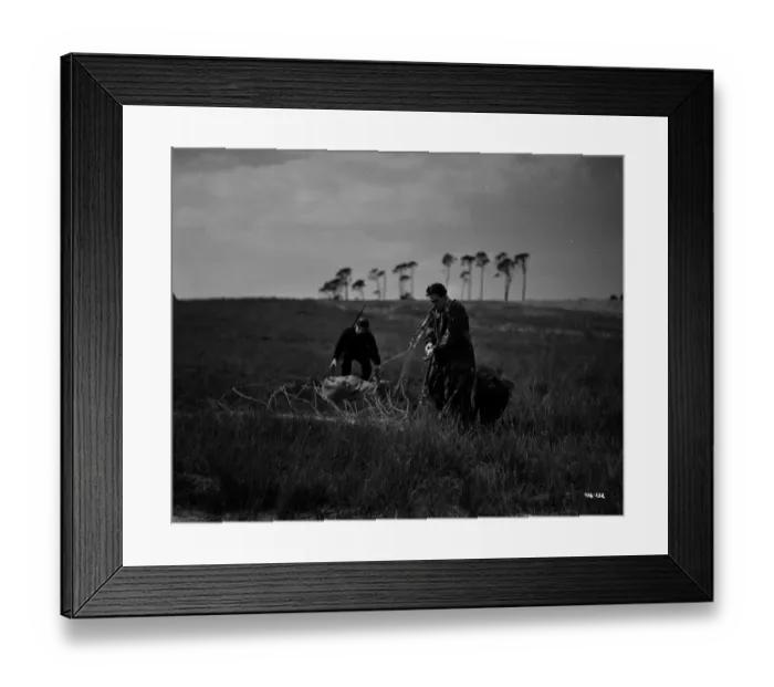 Framed Print : aga1948 bw neg 049 Framed Print : aga1948 bw neg 049
