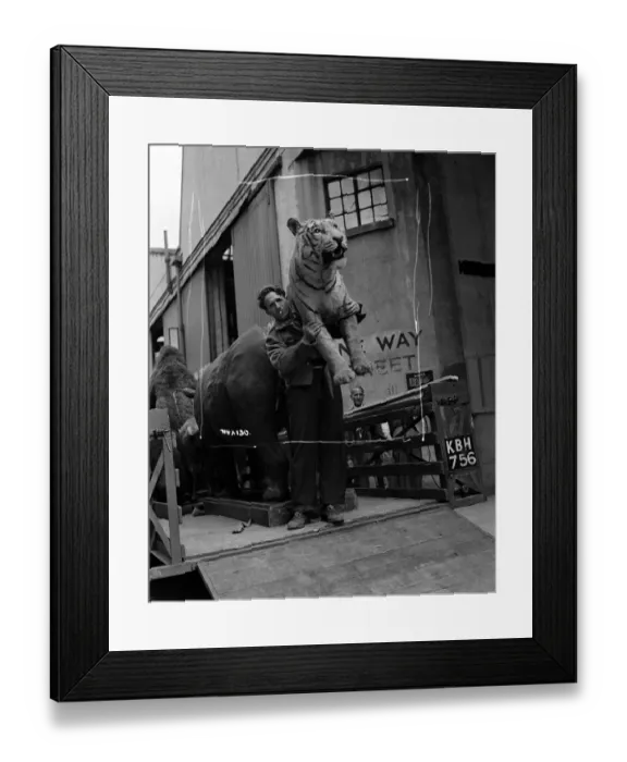 Framed Print : aga1948 bw neg 172 Framed Print : aga1948 bw neg 172