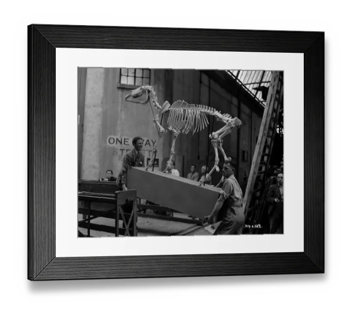 Framed Print : aga1948 bw neg 182 Framed Print : aga1948 bw neg 182