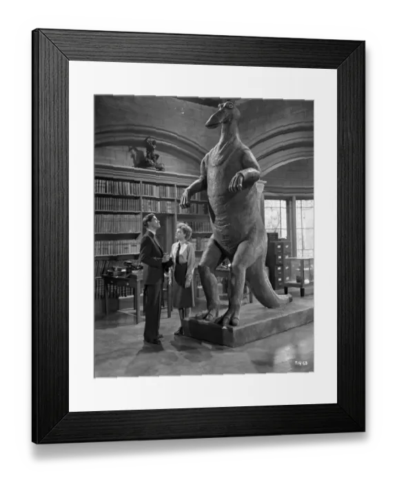 Framed Print : aga1948 bw neg 267 Framed Print : aga1948 bw neg 267