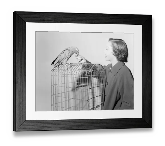 Framed Print : dan1950 bw neg pub 012 Framed Print : dan1950 bw neg pub 012