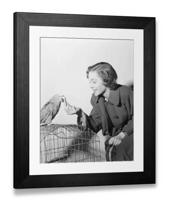 Framed Print : dan1950 bw neg pub 013